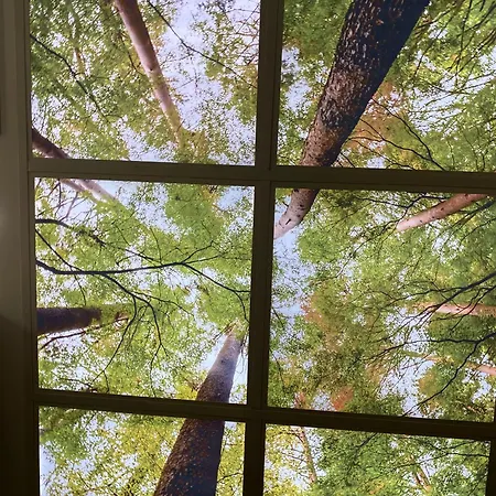 Daire El Balcon De La Muralla *